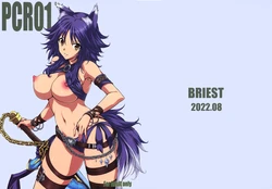(C100) [BRIEST (Yatsushima Tetsuya)] PCR01 (Princess Connect! Re:Dive)