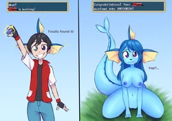 [Zorym] Eeveelutions (Pokémon)