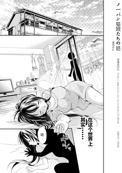 [Renjou Hani] Nopan Nekomusume-tachi no Hanashi [Chinese] [小苍兰个人汉化]