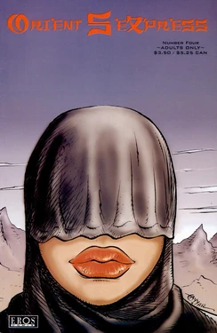 [Tayyar Ozkan] Orient Sexpress #4 [Chinese]