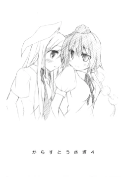 (COMIC1☆4) [Mizu no Minato (Mizuna)] Karasu to Usagi 4 (Touhou Project)