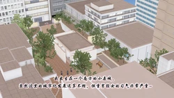 舅妈的月子奴（圣水注意）