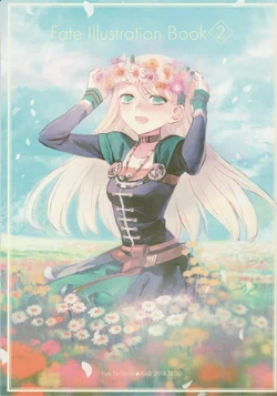 (C95) [AciD (TAa)] Fate Illustration Book 2 (Fate/Grand Order)