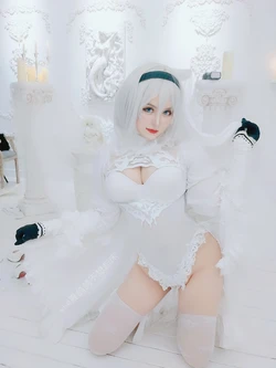 Yorkie - Bride 2B
