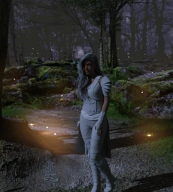[ArtofVenus] Night Forest