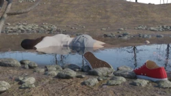Dumped corpse 2