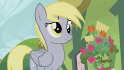 Derpy Hooves Plot