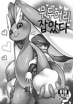 [Mayoineko (Various)] Oyabun Tsukamaeta (Pokémon) [Korean] [LWND]