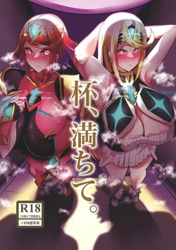 (C103) [Torokiboshi (Asagi Hiro)] Hai, Michite. | 잔이, 차서. (Xenoblade Chronicles 2) [Korean]