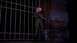 [懒猫] SWAT ambush 1-2