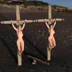 HLT1W - Tifa and Aerith Crucified