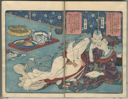 Japan Shunga Collection