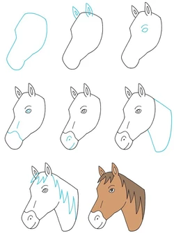 How To Draw Horses