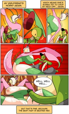 [Idolomantises] Manis Mating