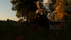 [Belethor's Smut] Pilgrimage (The Witcher)