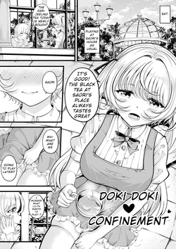 [Gin-chan] Lilith's Troubles—Doki Doki Confinement