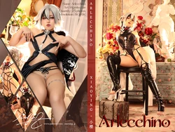 Xiaoying - Arlecchino