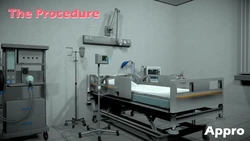 The Procedure