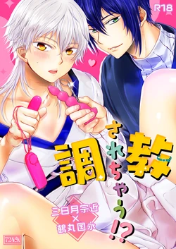 [724 Sakana (Nananishi Sakana)] Choukyou Sarechau!? (Touken Ranbu) [Digital]