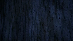 [DARKHOUSE] Regalo de Espina - Part 1