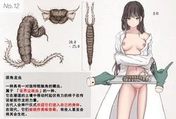 蟲研究レポート_No.12 [Chinese] [孤独的蛇个人汉化]