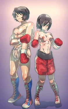 [pixiv & twitter] ヴァイネント boxing artworks