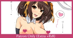 [haruhisky] Shiro bunny Haruhi-san (Suzumiya Haruhi no Yuuutsu)