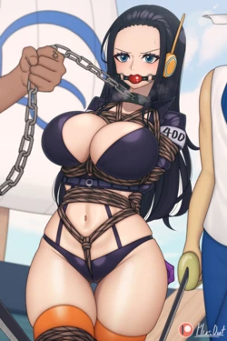 [PlusOut] Nico Robin (April 2024)