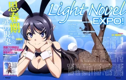 seishun buta yarou series (my favourite)