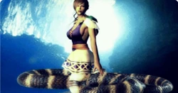 [Ｈ・ＥＲＯ] ＳＰＩＤＥＲ’ｓThread