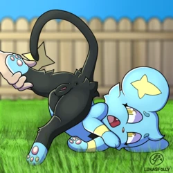 [e621]shinx