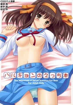 [Turning Point (Uehiro)] Harukyon no Ecchi Hon (The Melancholy of Haruhi Suzumiya) [Chinese] [CDD个人渣翻]