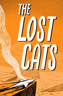 [Saran Kit] The Lost Cats (mini-comic)