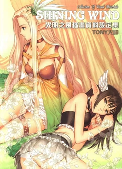 Shining World Artbook 1 y 2 (Tony Taka)