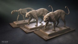 Phanter by Phu Nguyen 3da anatomy (tutorial)