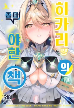 (C102) [Dorayakiya (Inoue Takuya)] Hikari-chan no Motto Ecchi Hon | 히카리쨩의 좀 더 야한책 (Xenoblade Chronicles 2) [Korean]