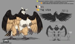 [ZeBlackBallD] The siren