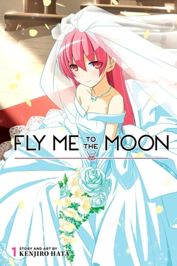 Fly Me To The Moon