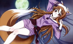 spice and wolf ( my favourite )