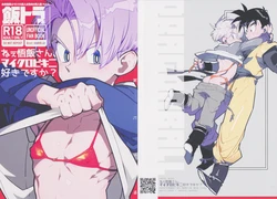 (ShotaFes 17) [Article 60 of Criminal Code (Shuhan)] Nee Gohan-san Micro Bikini Suki desu ka? (Dragon Ball Z)