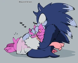 [QuaverNSFW] Amy! your tail is showing! (Sonic the Hedgehog)