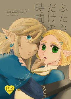 (ALL STAR 24) [Affection (Sou Akira)] Futari dake no Jikan. (The Legend of Zelda) [Sample]