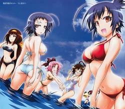 Medaka Box Complete Guide Book