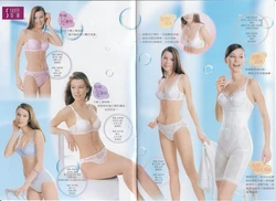 bra leaflet