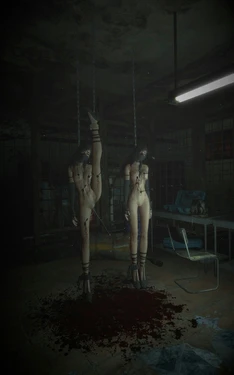 [BakChoi] My Collection