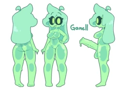 [Zyneru] Zyneru x Ganell (2024-2022)