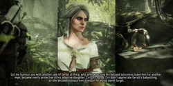 [Currysfm] Ciri's Lesson