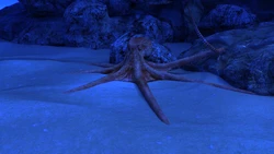 [WhiteNightmare] [3D] Mini-project: Octodiver