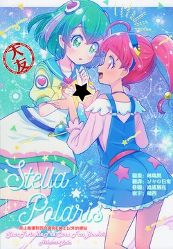 (Rainbow Flavor 21) [Tirol Cat (15 cats)] Stella☆Polaris (Star Twinkle PreCure) [Chinese] [大友同好会]