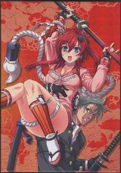 Hyakka Ryouran: Samurai Girls BD Scan